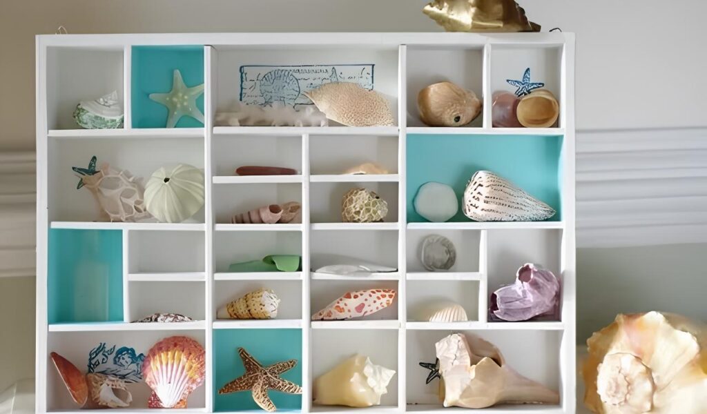 Seashell home decor ideas displayed on floating shelves